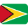 Guyana Flag